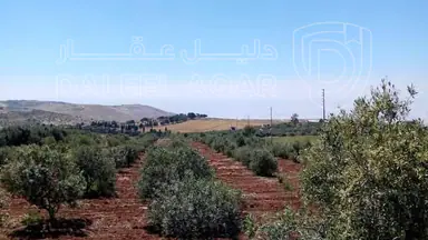 أرض في مادبا - الفيصلية  - 119,000 دأ - صورة NaN